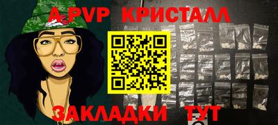 индика Славгород