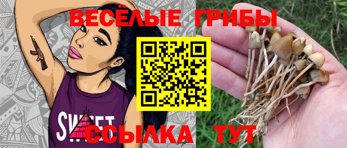 Псилоцибиновые грибы мухоморы Нижний Тагил